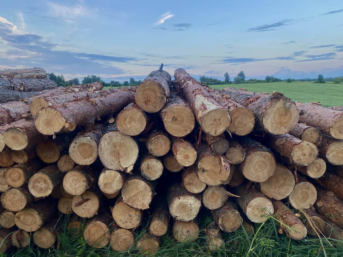 Timber stacked at the ride side