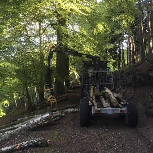 Woodland management and extraction