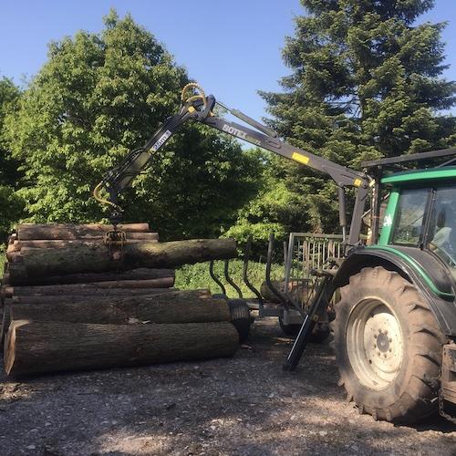 Low impact forestry in progress