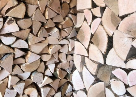 WhatsApp Image 2026-01-16 at 2.39.03 PM